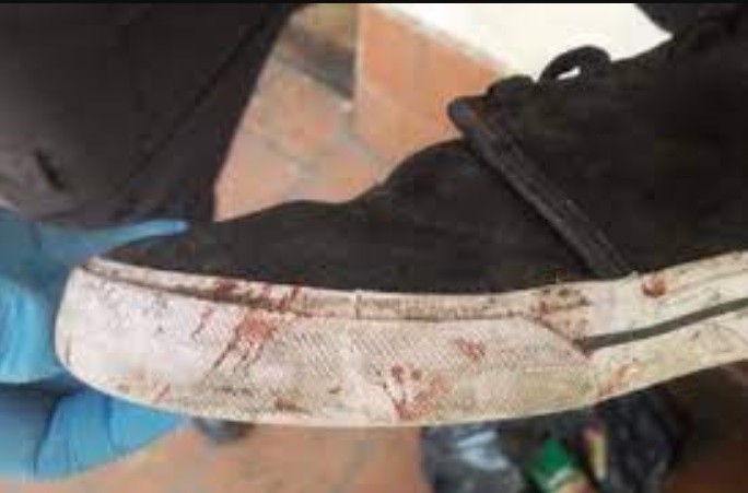 Día 7 del juicio por el crimen de Báez Sosa: la zapatilla de Thomsen, en el centro de atención | Actualidad