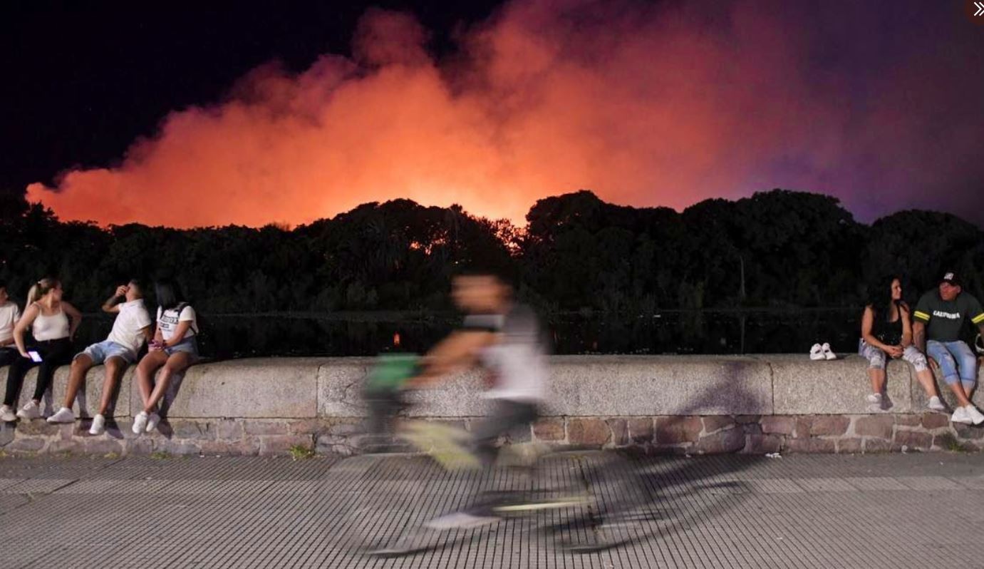 Buenos Aires: el incendio de la Reserva Ecológica de Costanera Sur estaría controlado | Actualidad