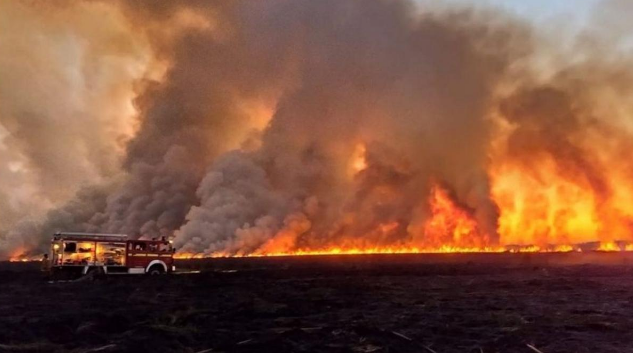 Crean unidad para prevención de delitos ambientales en el Ministerio de Seguridad | Política y economía