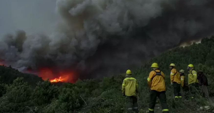 Nueve provincias con incendios en sus territorios: Buenos Aires y Entre Ríos, las más afectadas | Política y economía