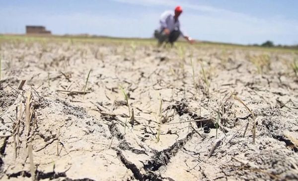 Aumenta el riesgo de sequía: 175 millones de hectáreas en peligro | Actualidad