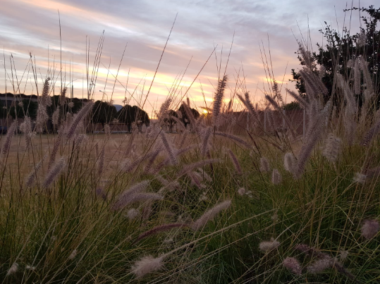 Cielo parcialmente nublado. Leve descenso de temperatura. Máxima de 30° | Clima, Naturaleza y Medio ambiente