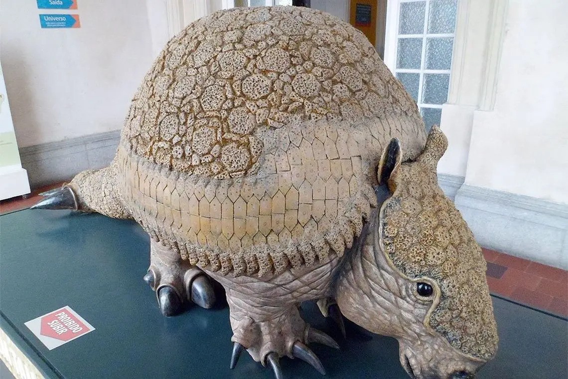 Encontraron dos gliptodontes de tres millones de años en Chapadmalal | Actualidad