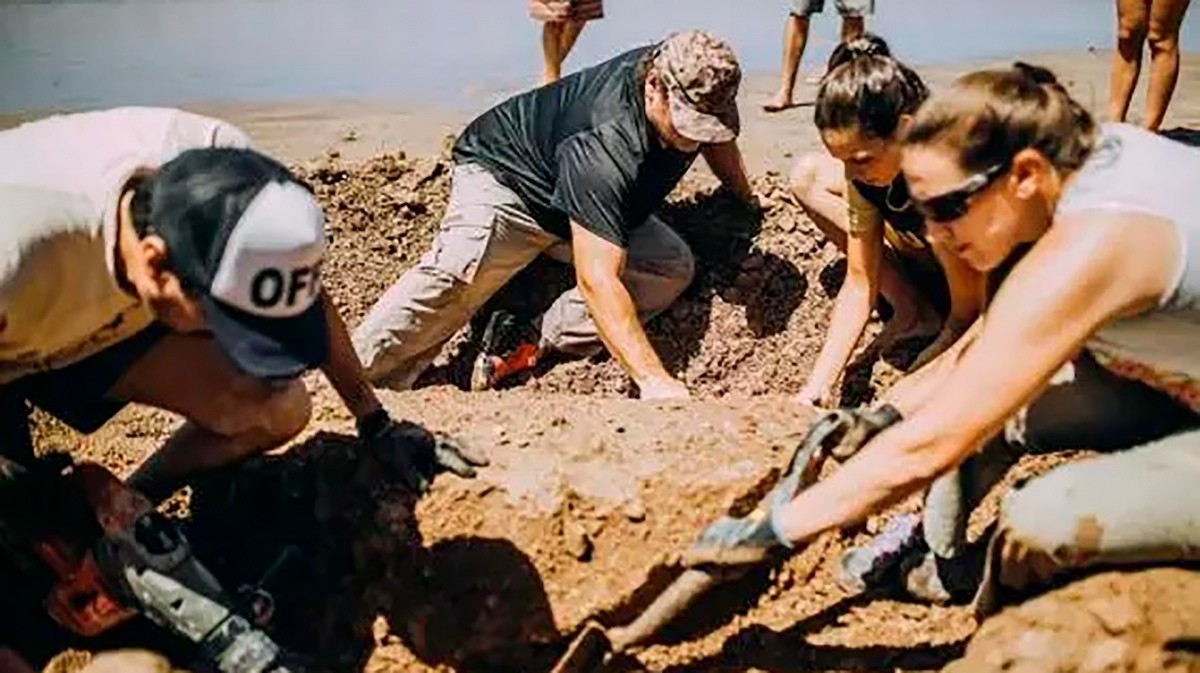 Hallaron los restos de dos gliptodontes de tres millones de años en Chapadmalal | Actualidad