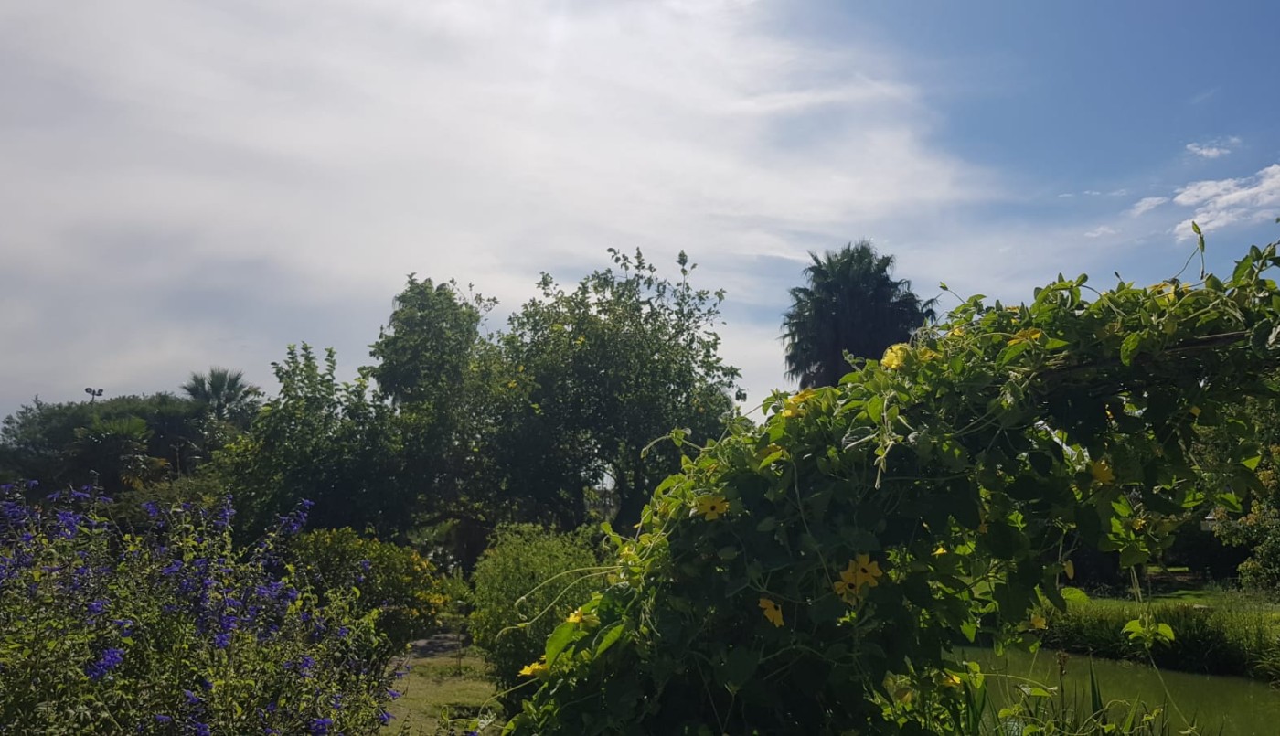 Lunes con máxima de 32° y alerta por tormentas | Córdoba