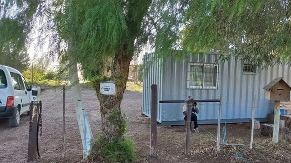 Femicidio en Mendoza: un coreano confesó que asesinó a su pareja y se envenenó | Actualidad