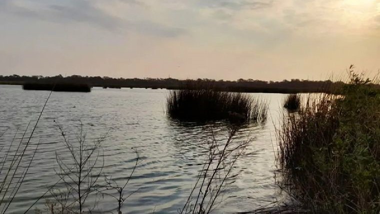 Gripe aviar: Detectaron un caso en Córdoba y ya es el segundo en Argentina | Córdoba