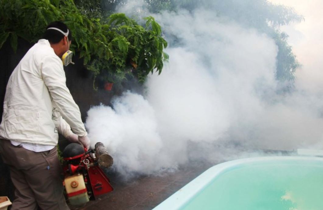 Alerta por chikungunya en Paraguay: acumula más de 24 mil casos | Internacionales