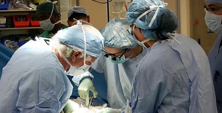 Tráfico de órganos: médicos le sacaron el riñón a un paciente sin su consentimiento | Internacionales