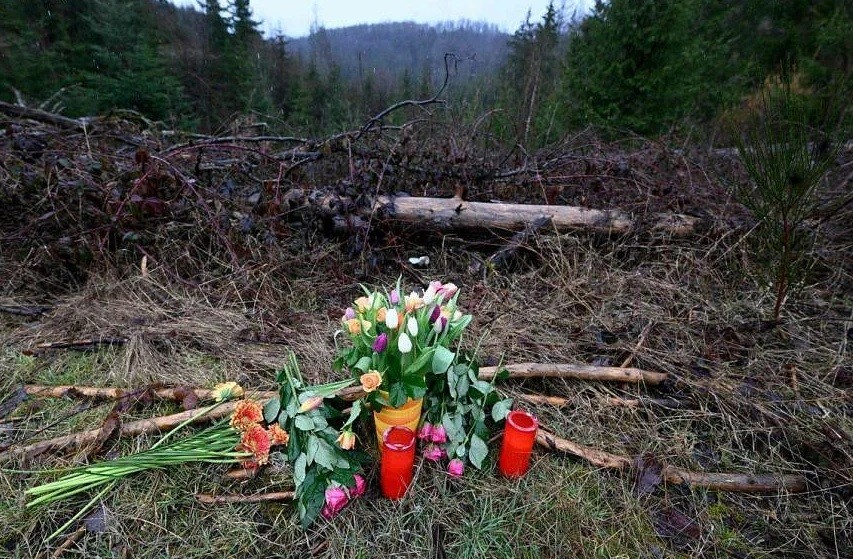 "Finalmente confesaron el crimen": dos chicas acuchillaron a otra de 12 años | Internacionales