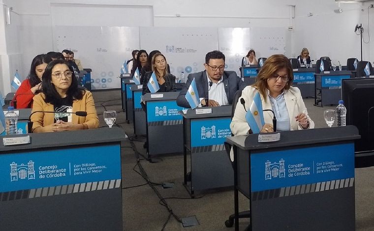 El Concejo de Córdoba aprobó el artículo que prohíbe las candidaturas testimoniales | Córdoba