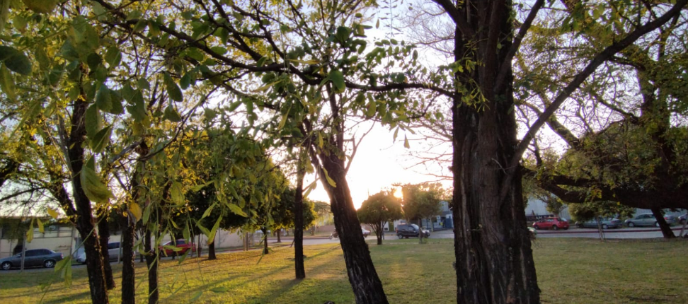 Cielo despejado y temperatura agradable. Se espera una máxima de 28° | Clima, Naturaleza y Medio ambiente