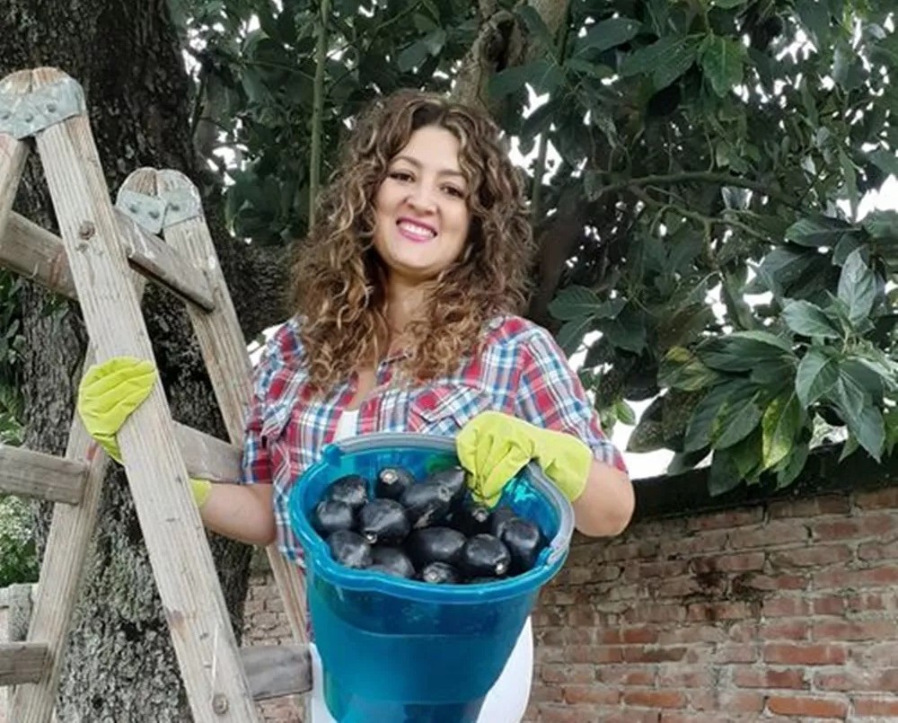 Una candidata salteña vende paltas para solventar su campaña | Política y economía