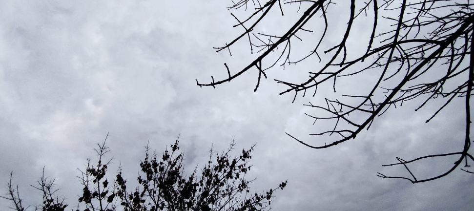 Llovizna y cielo mayormente nublado. Temperatura máxima de 24° | Clima, Naturaleza y Medio ambiente