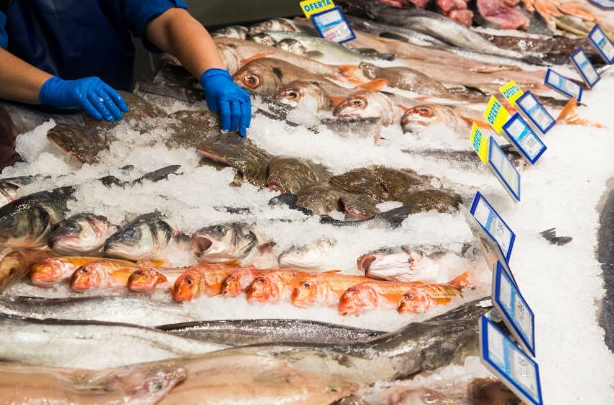 Dieta de Semana Santa: cómo prevenir intoxicaciones alimentarias con pescados y mariscos | Córdoba