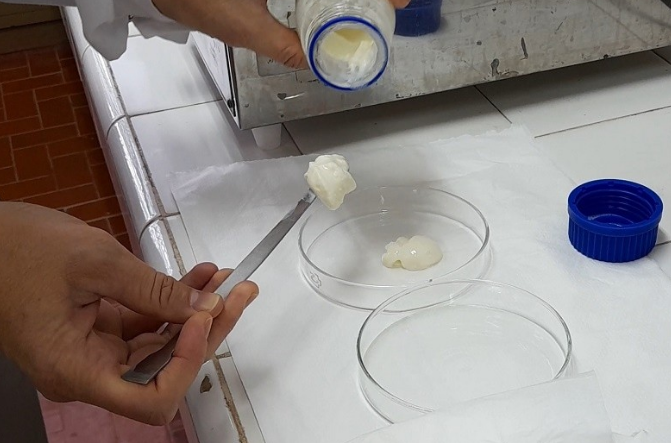 "Gel de leche": desarrollan en Santa Fe un nuevo producto lácteo fortificado con calcio | Actualidad