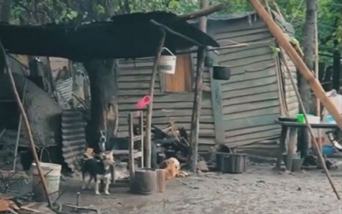 "Baños dignos": El insólito spot de un intendente tucumano | Política y economía