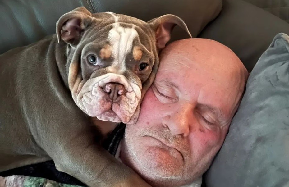 Su perro le comió un dedo mientras dormía, lo llevaron al hospital y le dijeron que le salvó la vida | Internacionales