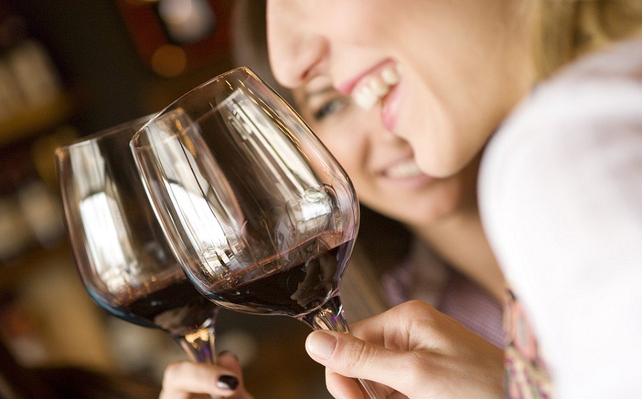 Vitivinícolas organizan "Dionisias", la primera feria de vinos de mujeres de Argentina | Curiosidades