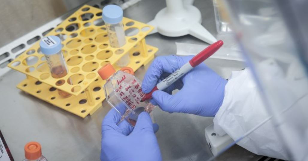 Dengue: los detalles de la nueva vacuna que aprobó la ANMAT | Salud