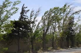 Alertan por fuertes ráfagas para gran parte de Córdoba | Córdoba