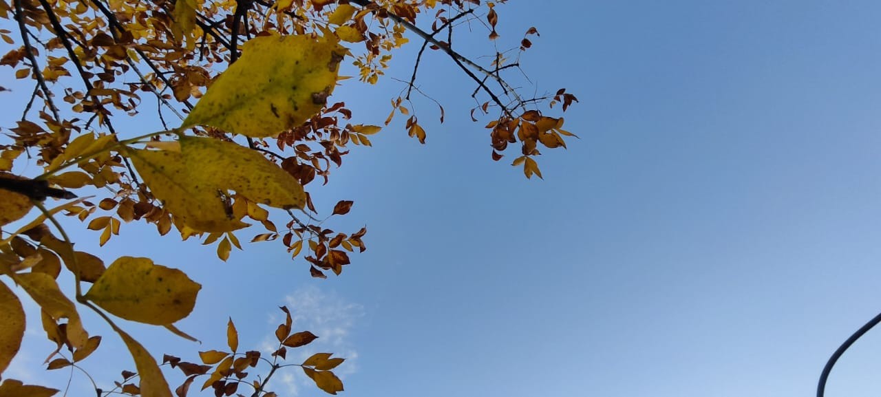 Clima en Córdoba: el tiempo este lunes 15 de mayo | Córdoba