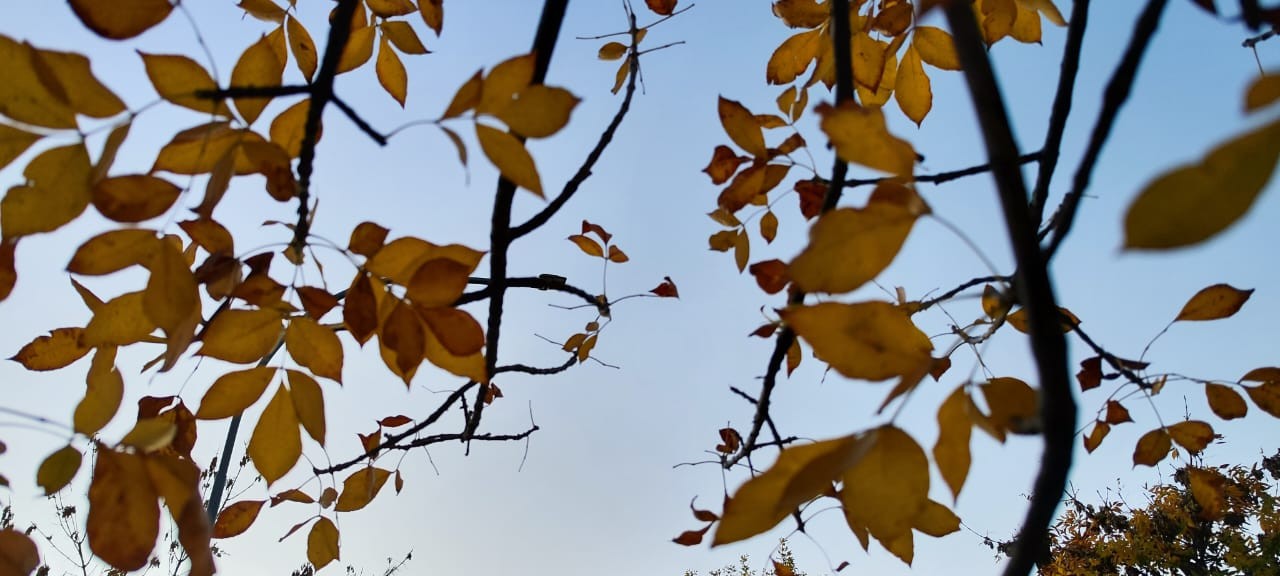 Clima en Córdoba | Córdoba