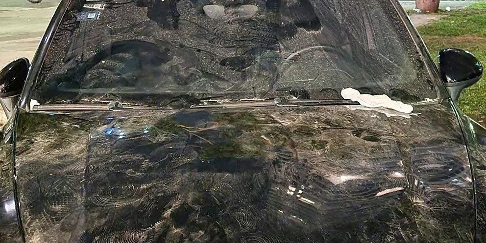 Hinchas de Colo-Colo destrozaron una camioneta que vale más de 200 mil dólares | Actualidad