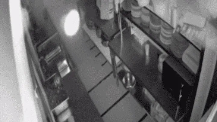 Video: sonó la alarma de su local, miró las cámaras y se encontró con algo aterrador | Córdoba