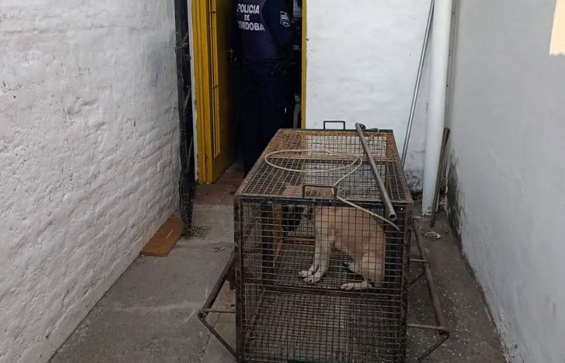 Hallaron dos jubilados muertos en el interior de una vivienda | Córdoba