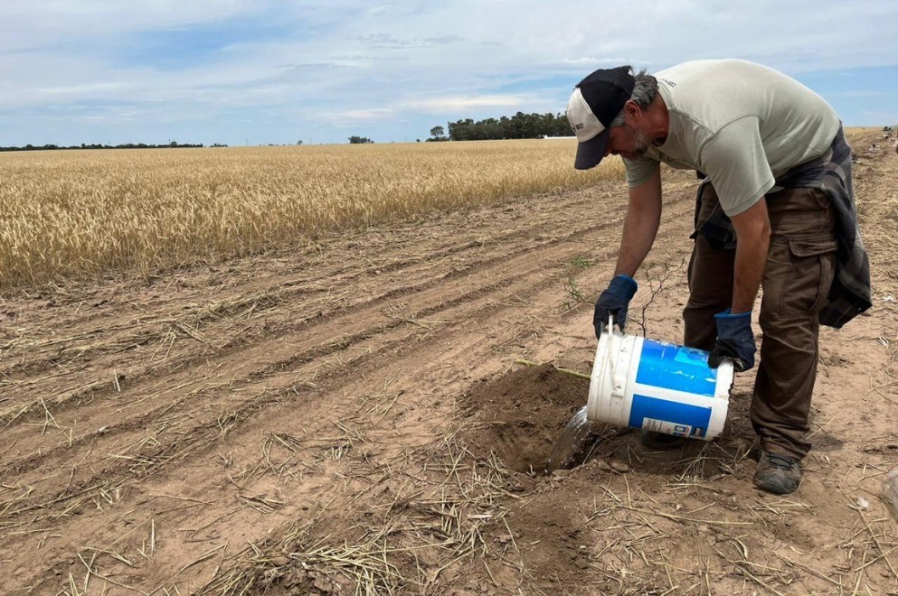 Gobierno de la Provincia prorroga la emergencia agropecuaria por sequía y heladas | Córdoba