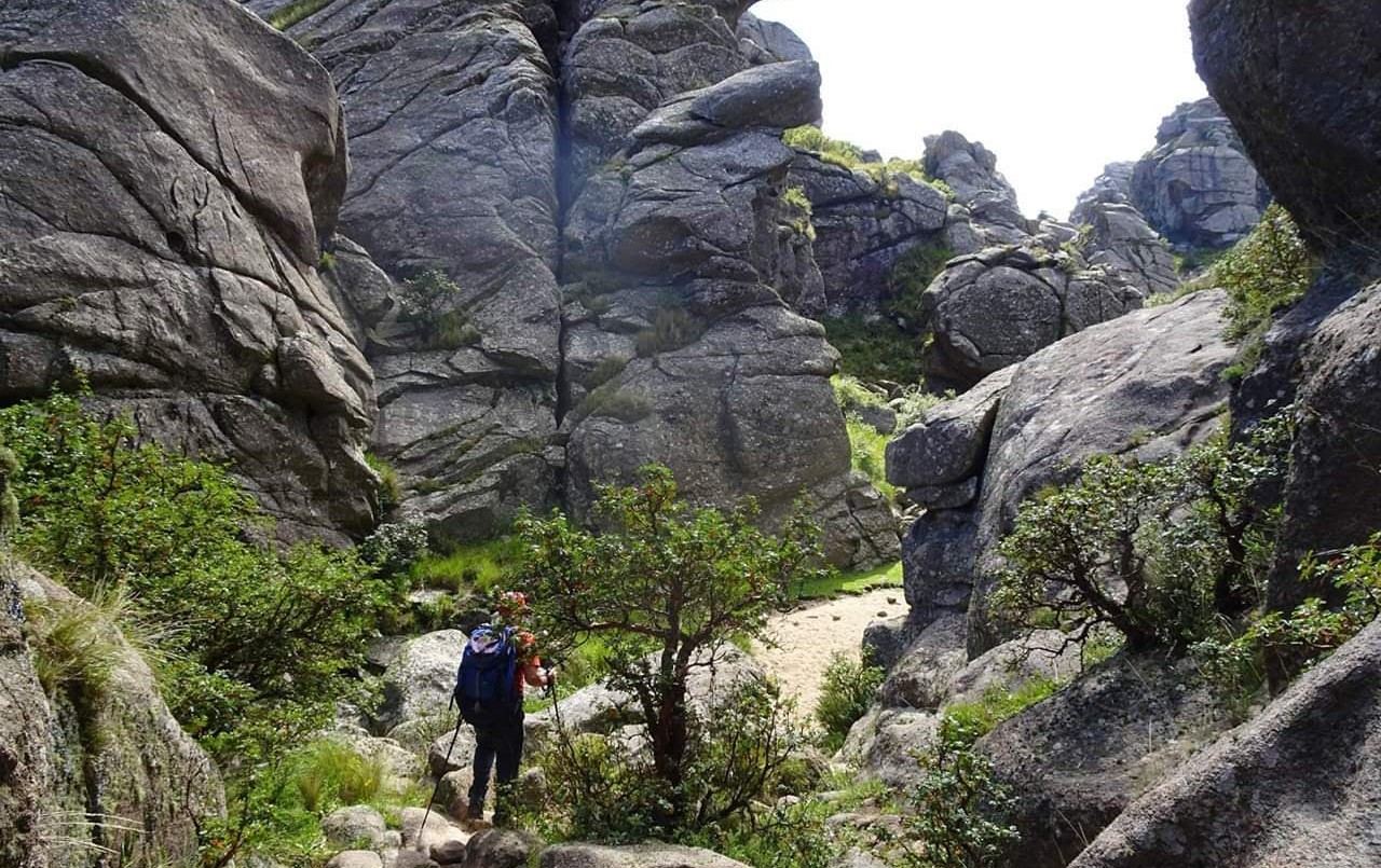 Rescataron a dos jóvenes con hipotermia en el Cerro La Ventana | Deportes