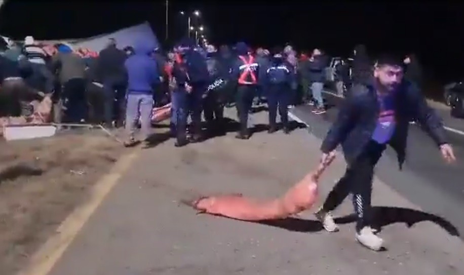 Video: vecinos saquearon un camión que volcó con 23.000 kilos de carne | Actualidad