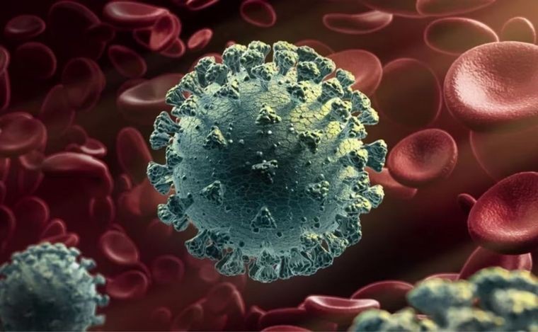 La OMS detectó una nueva variante de coronavirus en Argentina: los síntomas | Actualidad
