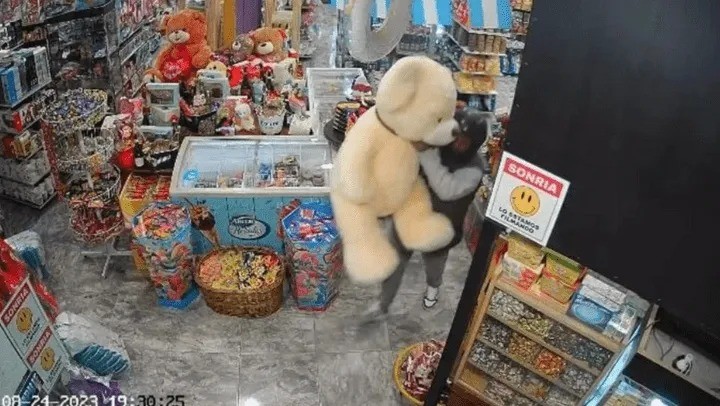 El último romántico: entró a robar, se llevó un oso de peluche gigante y quedó filmado | Actualidad