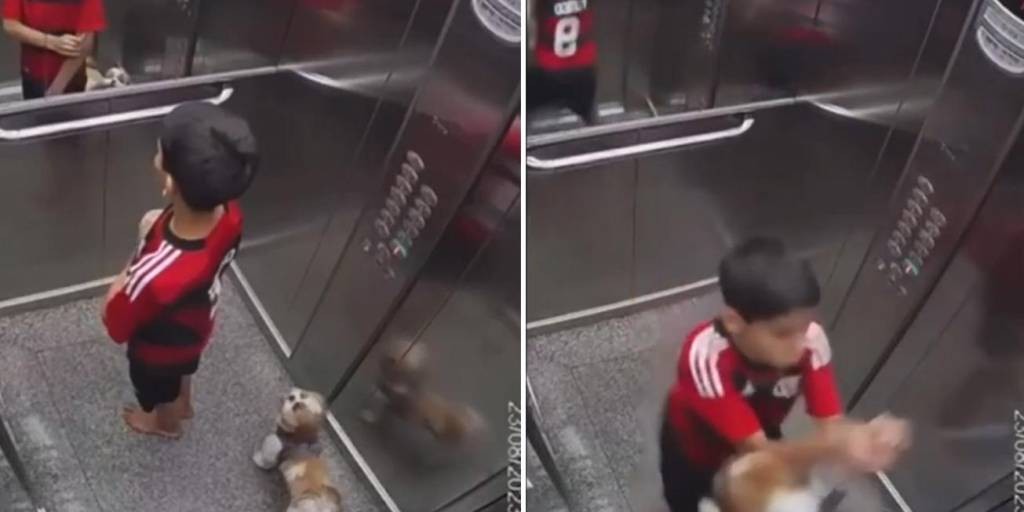 Dramático video: un niño de 11 años salvó a su perra de morir ahorcada en un ascensor | Internacionales