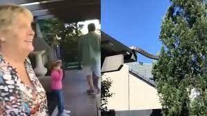 Video de terror: una serpiente gigante aterrorizó a un barrio entero en Australia | Internacionales