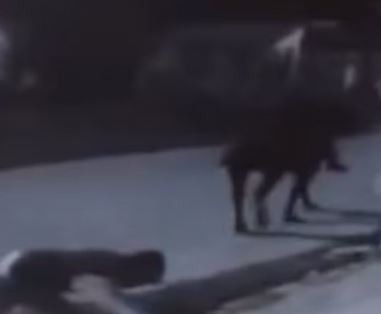 "Cabachorros": delincuentes a caballo le roban a un hombre la billetera y el celular | Actualidad