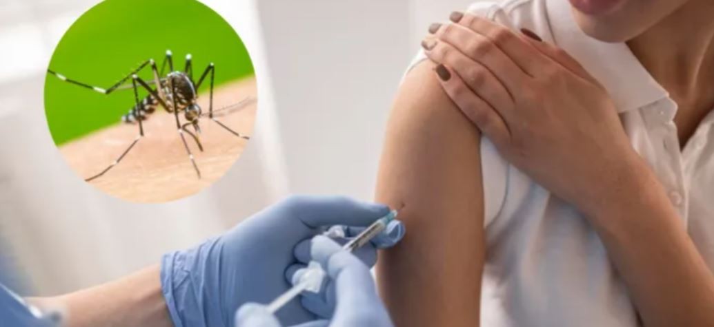 Dengue: cuándo llegará a la Argentina la vacuna japonesa | Actualidad