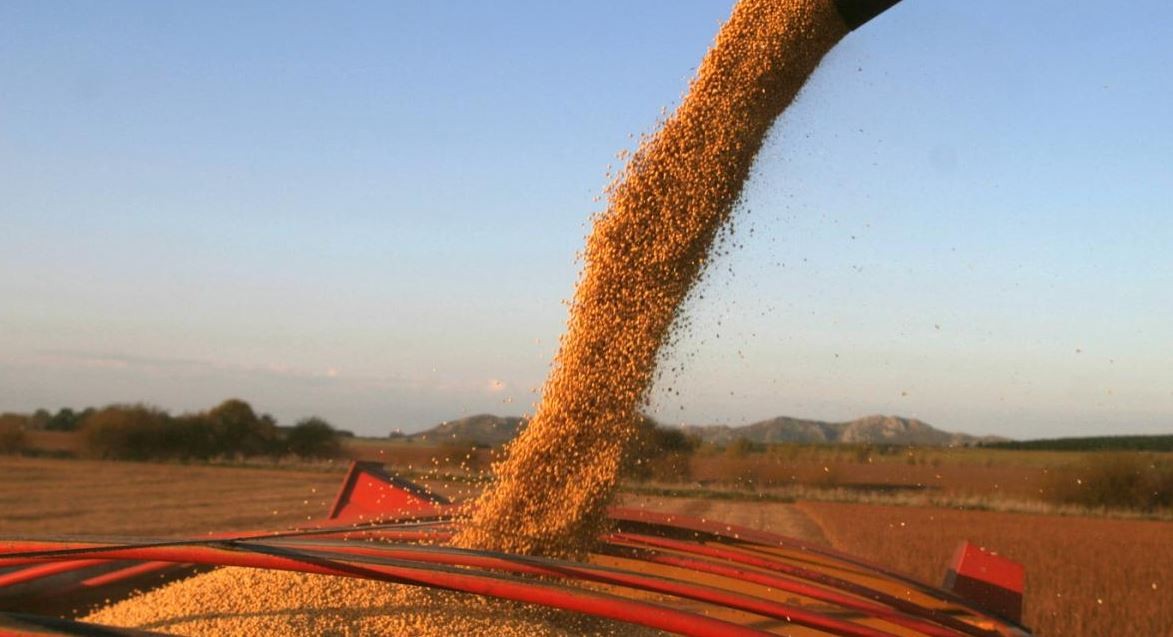 Dólar soja: en lo que va de septiembre se vendió un 88% más que en todo agosto | Política y economía