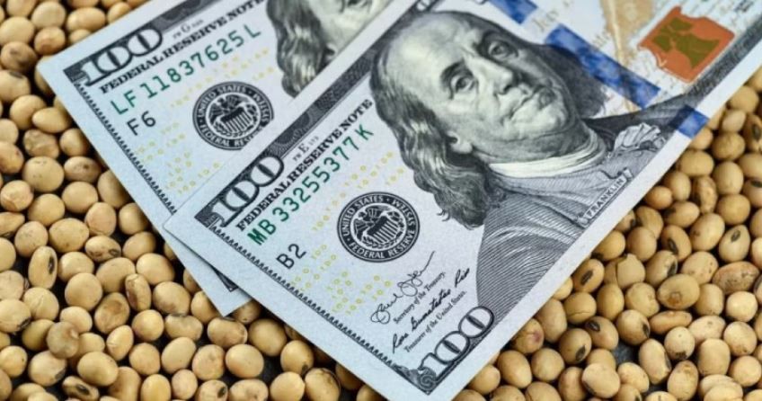 El Gobierno extiende el dólar soja hasta el 20 de octubre para fortalecer las reservas del BCRA | Política y economía