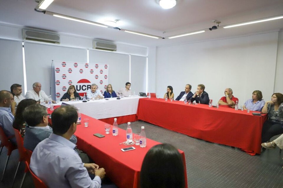 "La UCR no acompañará a ninguno de los dos candidatos"; la postura radical en el balotaje | Elecciones 2023
