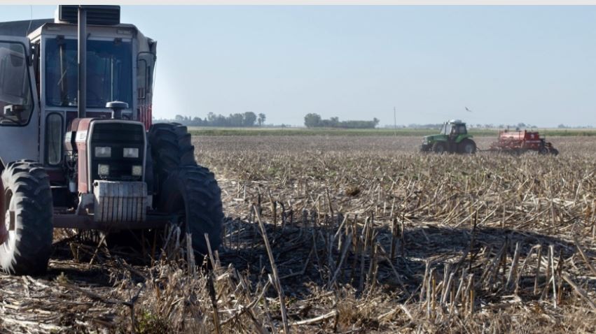 Por la sequía, cayó 50% la liquidación de divisas de la agroindustria en lo que va del año | Política y economía