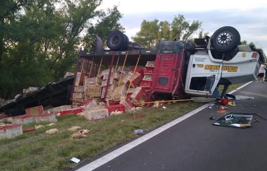 Un camión cargado con 2 mil pollos volcó en la  Ruta 60 a la altura de Salsacate | Córdoba