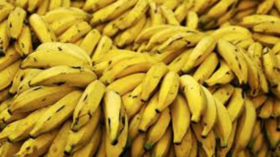 La Argentina empezó a pagar deudas y los bolivianos liberan sus cargamentos de bananas | Actualidad