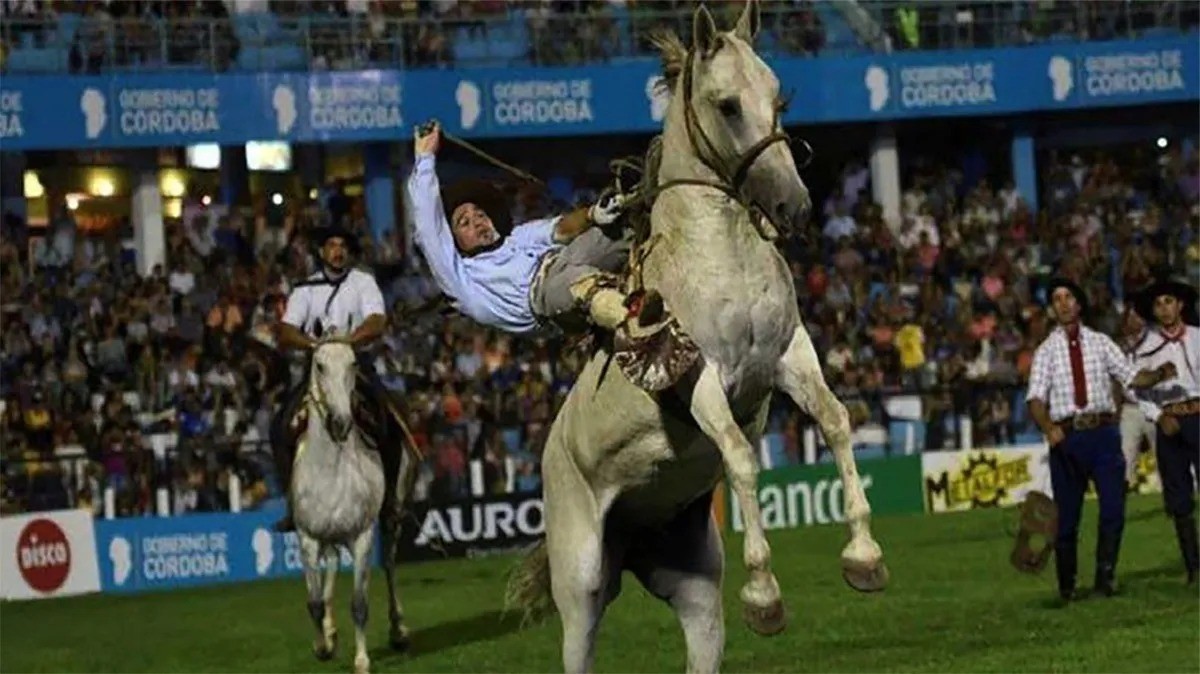 Cómo afectará el virus equino al Festival de Doma de Jesús María | Córdoba
