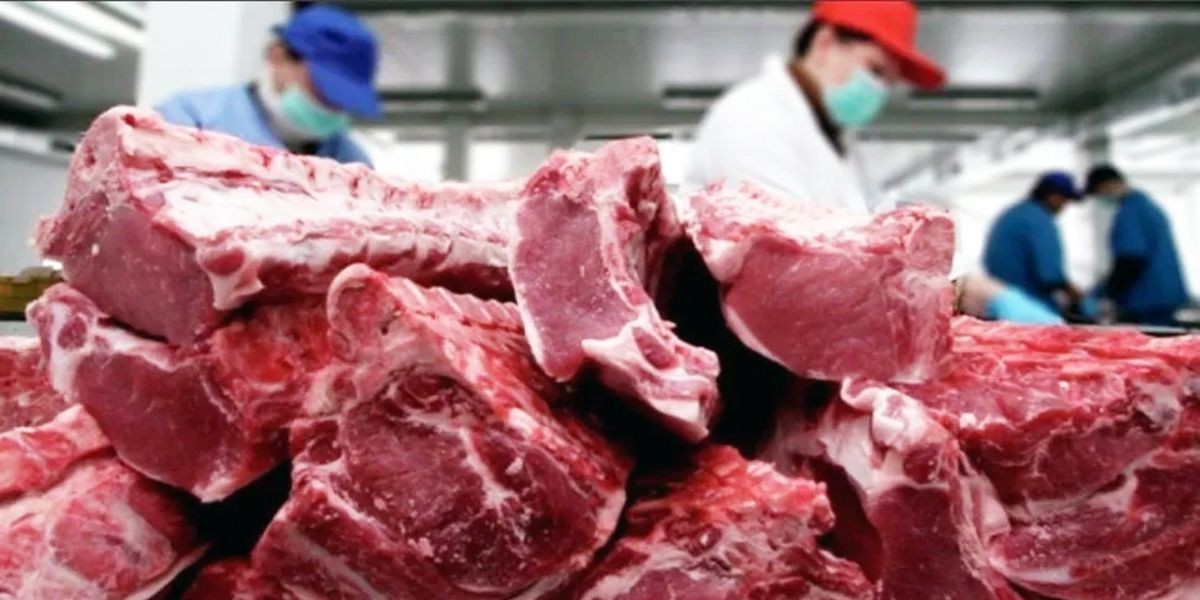 Por la falta de ventas bajó el precio de la carne en Córdoba | Córdoba