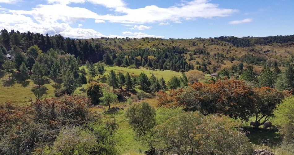 Admiten formalmente un amparo ambiental presentado por vecinos de El Durazno | Córdoba