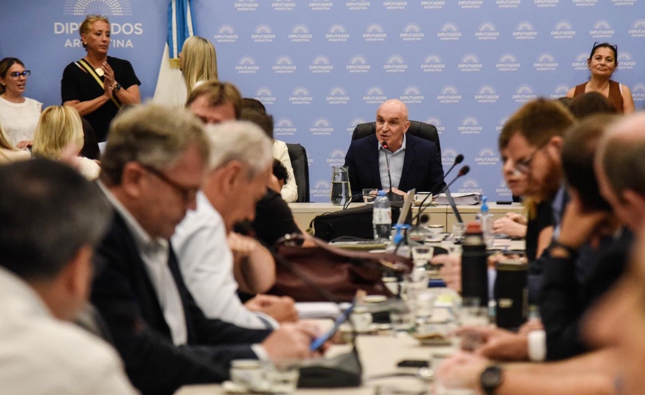El Congreso empieza a discutir la ley ómnibus: para Espert, los bloques apoyarán "con modificaciones" | Política y economía