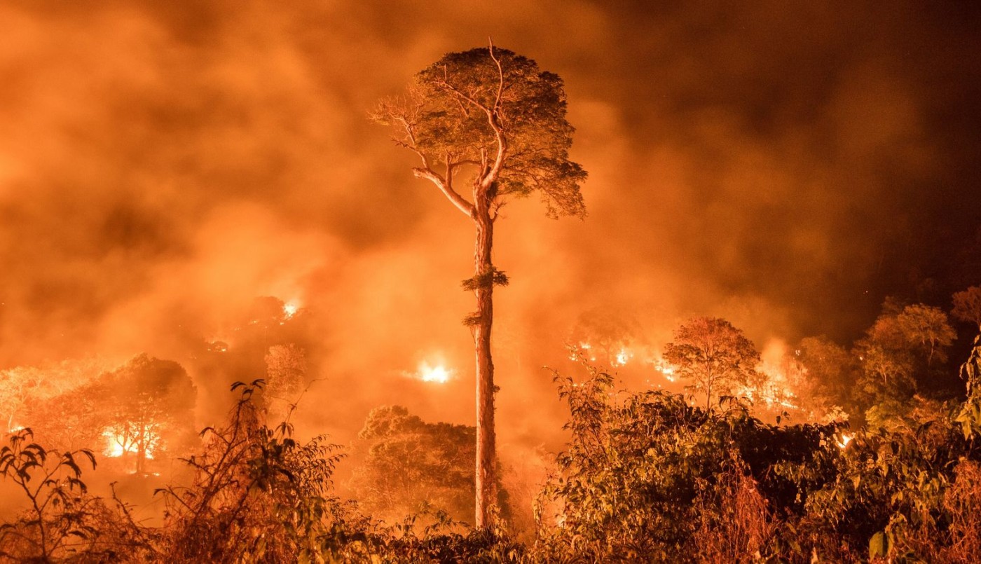 Incendios forestales en Chile: suben a 64 los fallecidos y prevén más muertos | Internacionales